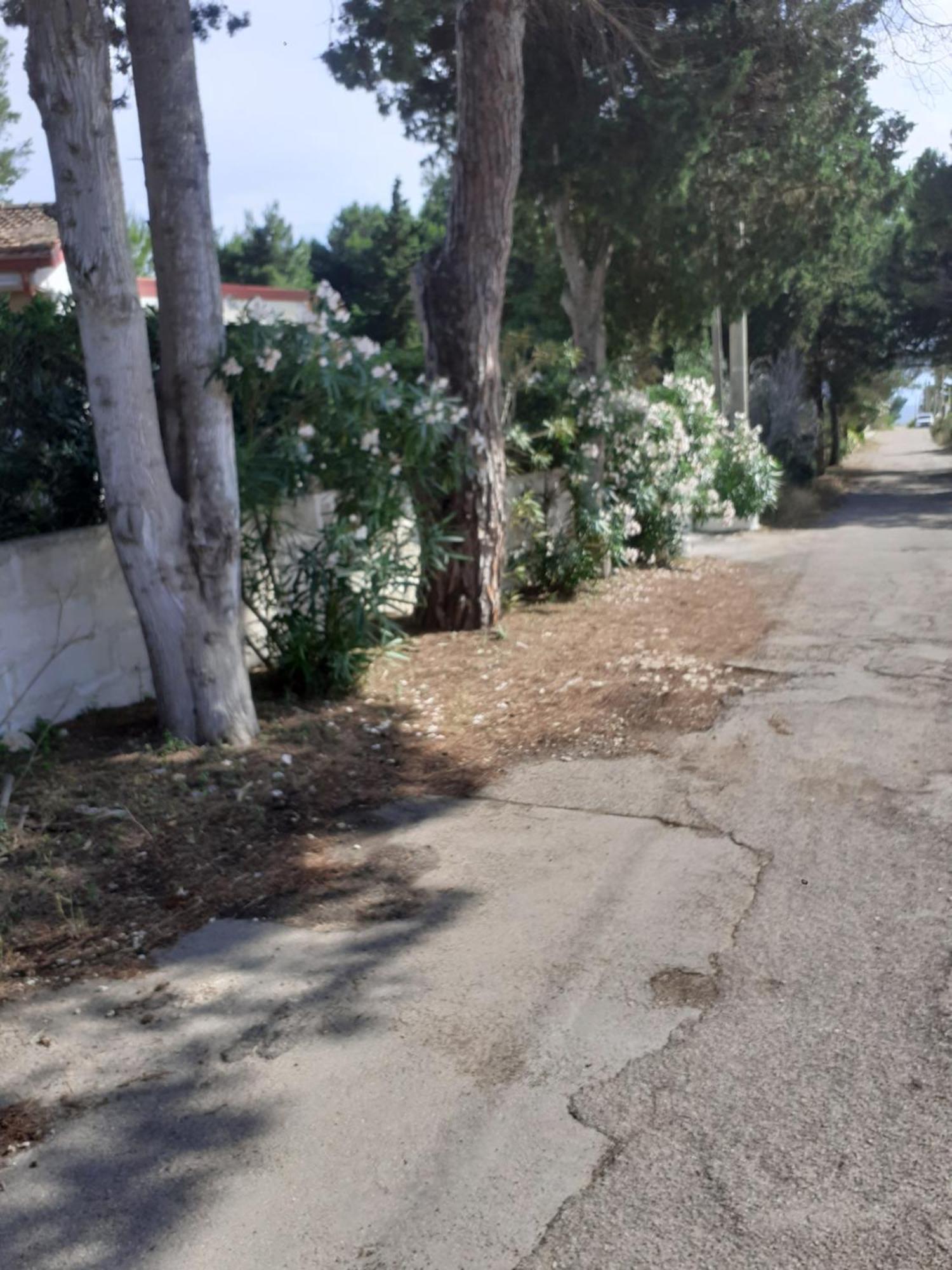 גאליפולי Villetta Dei Fiori, Vicino Spiaggia Di Punta Pizzo מראה חיצוני תמונה